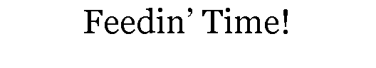 Text Box: Feedin� Time!